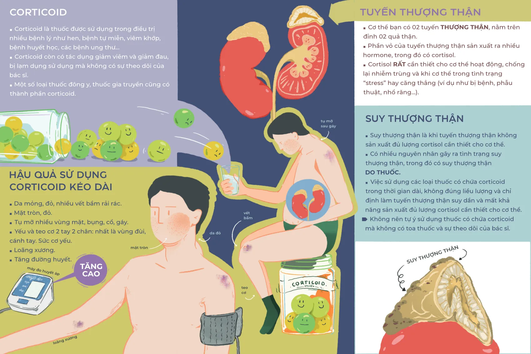 to roi phong ngua suy thuong than cap_2.webp